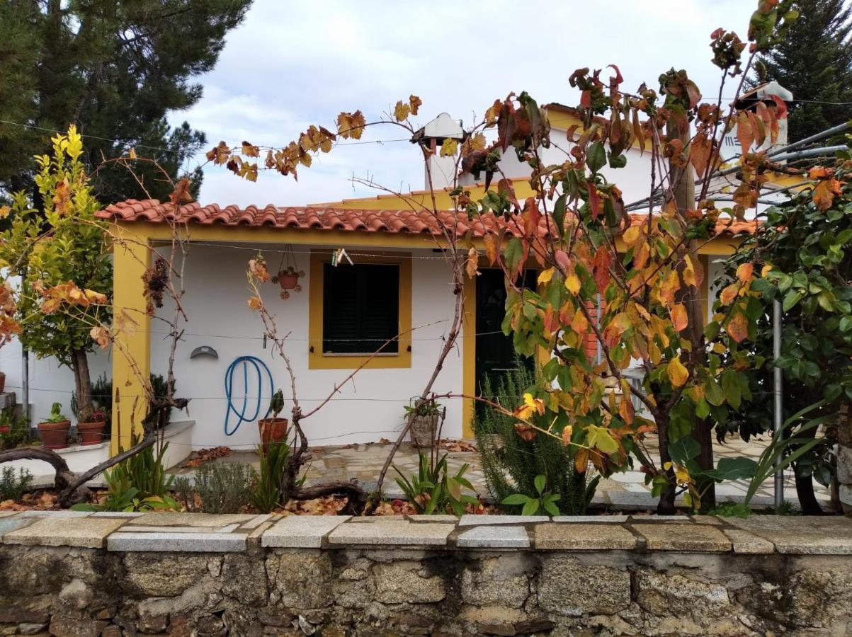 Casas De Campo Em Cerejal Villa Fundão Exteriör bild