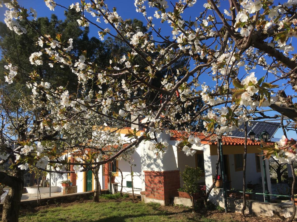 Casas De Campo Em Cerejal Villa Fundão Exteriör bild