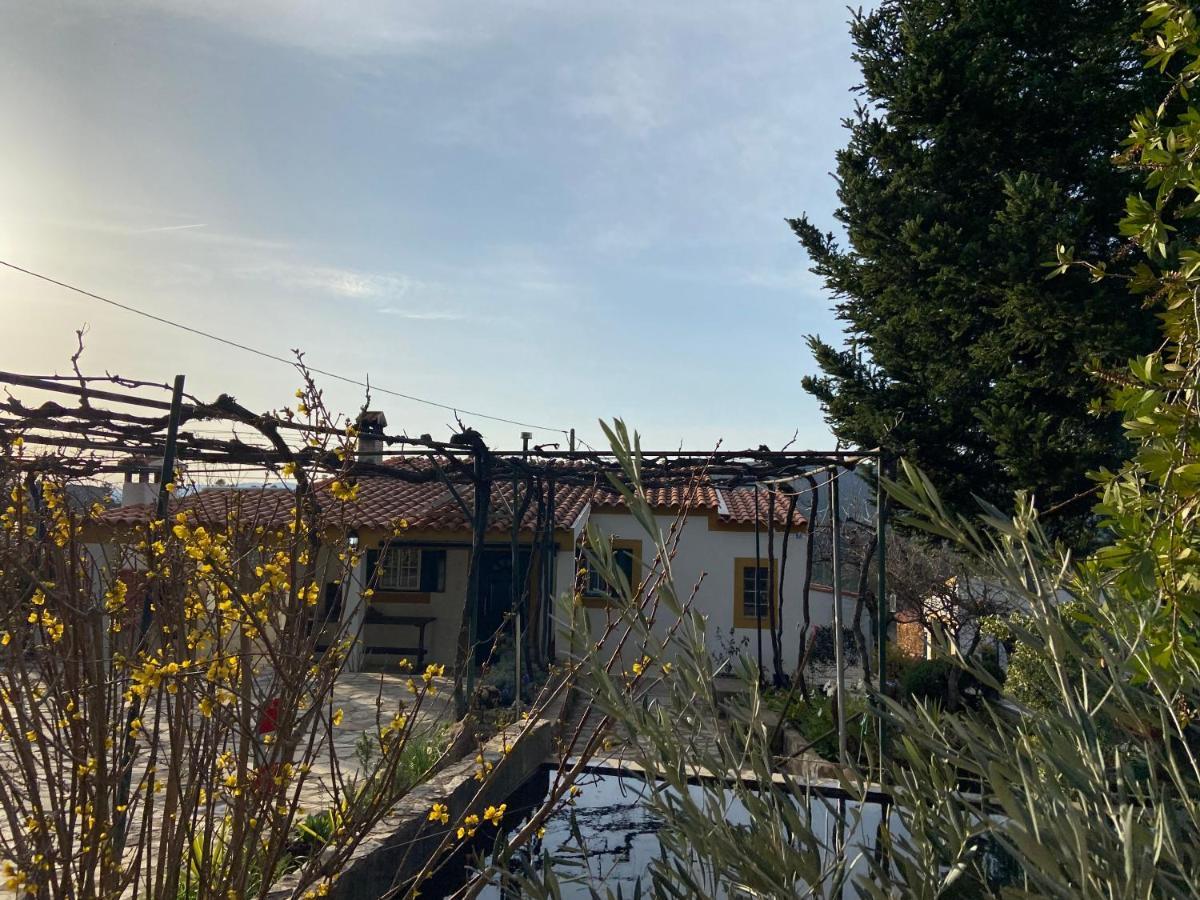 Casas De Campo Em Cerejal Villa Fundão Exteriör bild